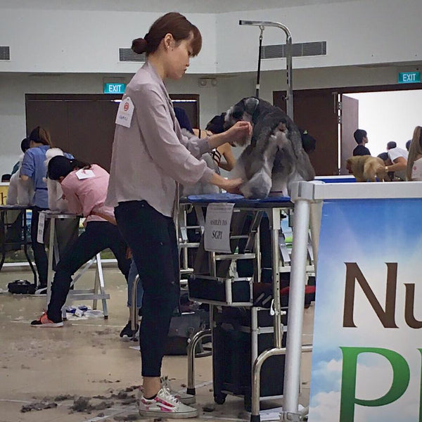 Singapore Kennel Club 4th Elites Grooming Competition, 15 July 2017