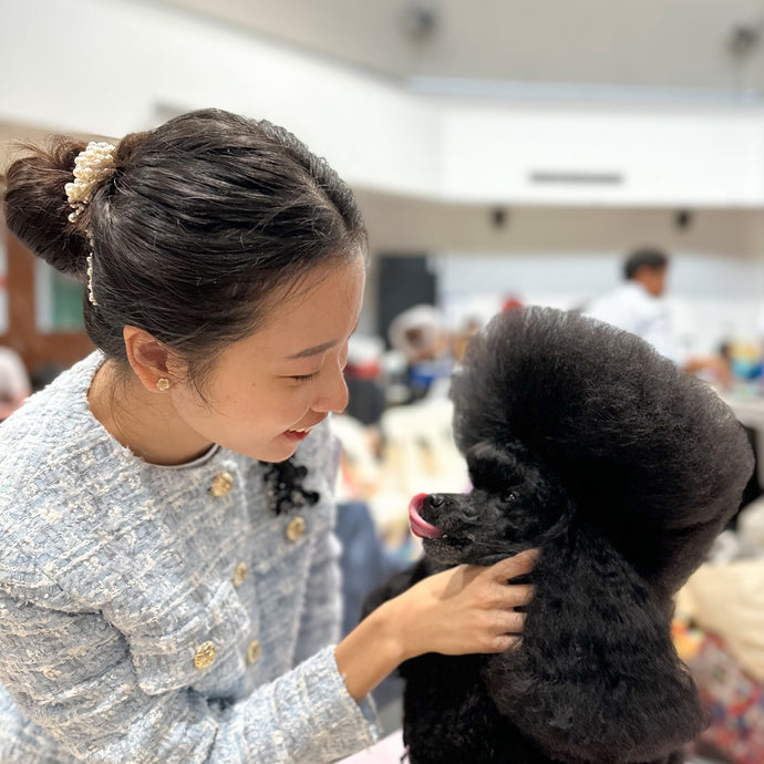 24th & 25th June 2023 Championship Dog Shows