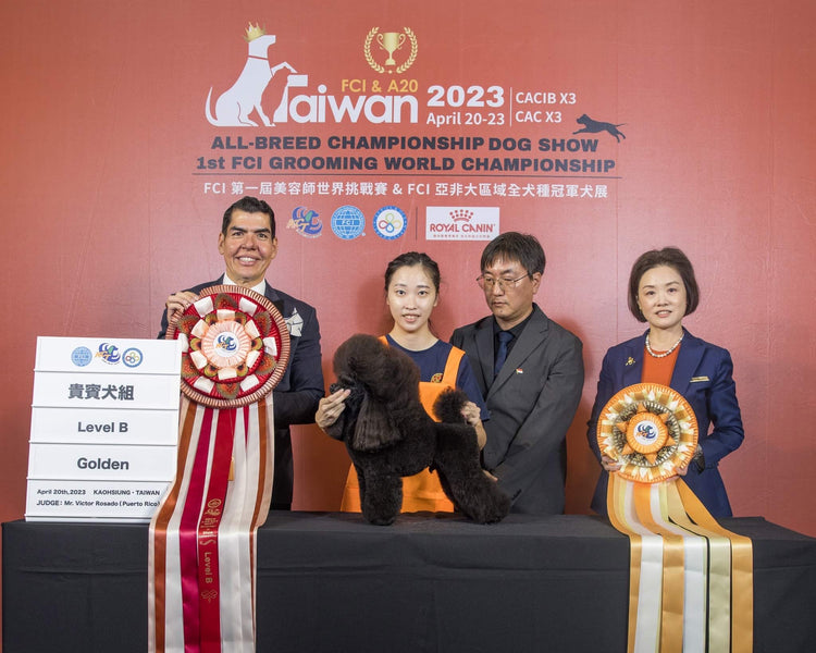 1ST FCI GROOMING WORLD CHAMPIONSHIP & AAO KCT GROOMING COMPETITION