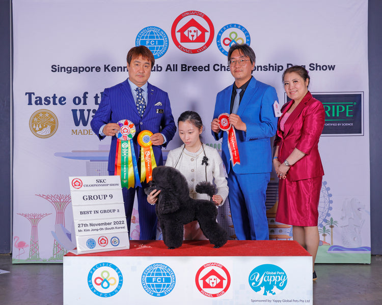 27th November 2022 Championship Dog Shows